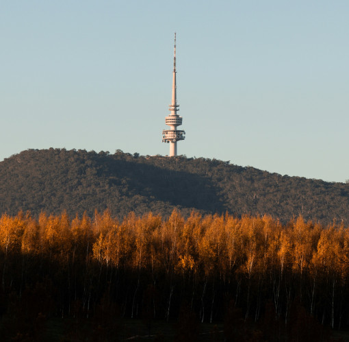 Autumn Telstra Tower Canberra