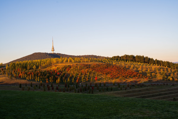 Autumn Canberra Landscape
