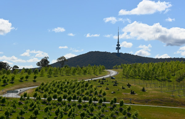 National Arboretum